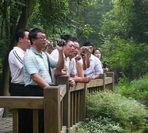 Sete países sul-americanos se juntam para conquistar turismo chinês