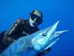 Convocam a Torneio de Internacional de Pesca do Wahoo 2015 (+Programa e Prêmios)