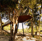 Pedras Salgadas spa & nature park eleito edifício do ano 2014
