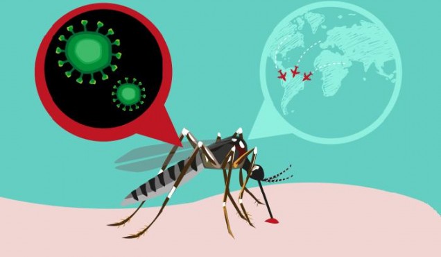 Brasil começa outra semana de luta contra o zika