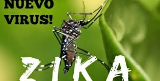 Hotéis recebem informativo com dicas para combater o Aedes aegypti
