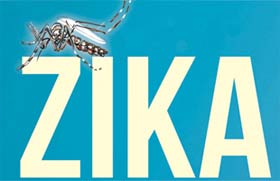 OMS mantém alerta global pelo zika    