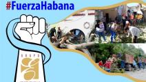 #fuerzaHabana